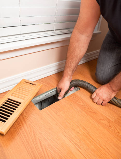 Best Professional Duct Cleaning Services  in Interlachen, FL